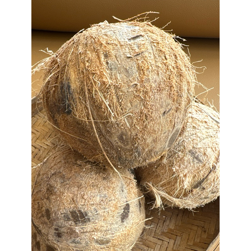 

kelapa tua utuh sudah di kupas / ukuran 550-700gr free box