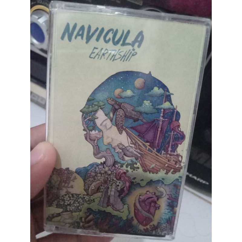 NAVICULA