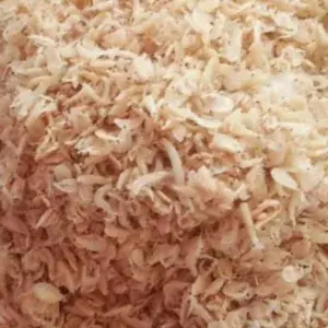 

UDANG REBON ASIN