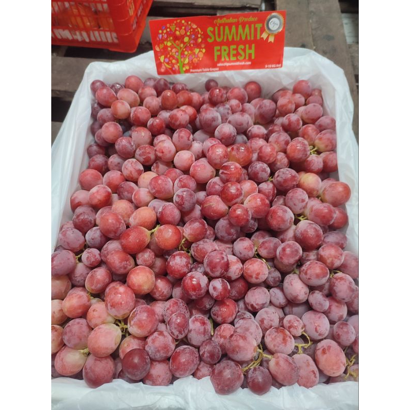 

ANGGUR IMPORT RED GLOBE AUSTRALIA SUMMIT FRESH / KG