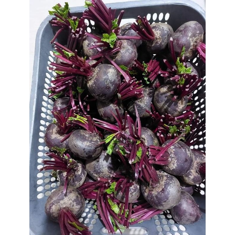 

BUAH BIT 1KG