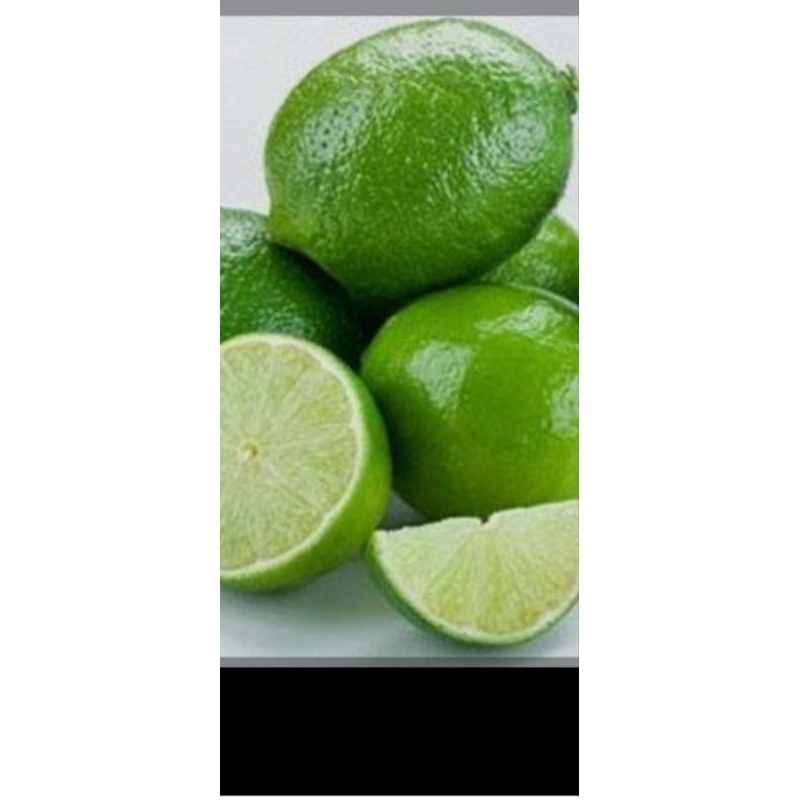 

jeruk lemon