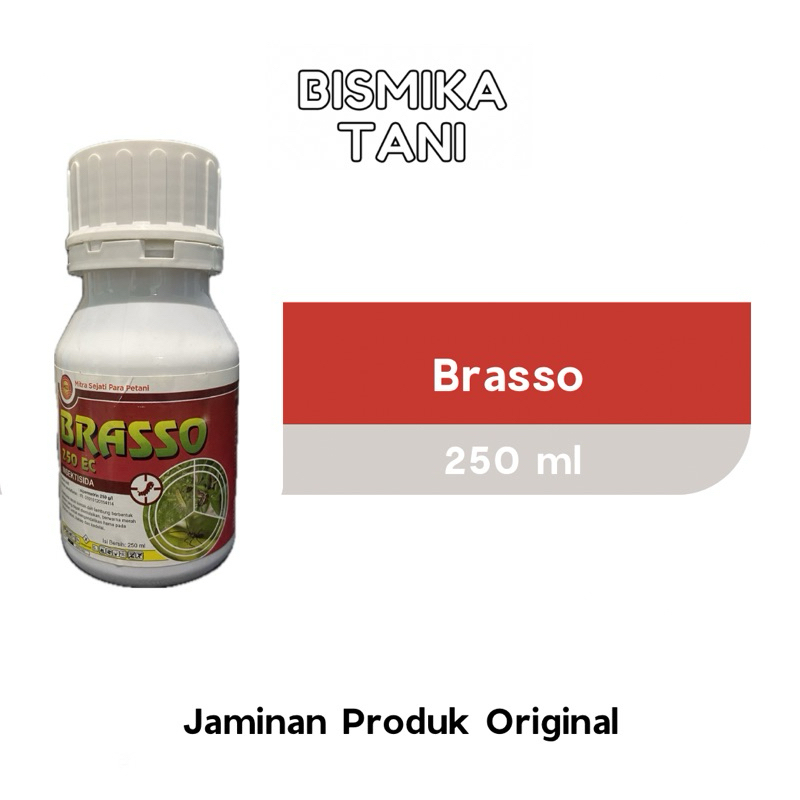 Brasso Insektisida Sipermetrin 250 EC Lalat Buah 250 ml