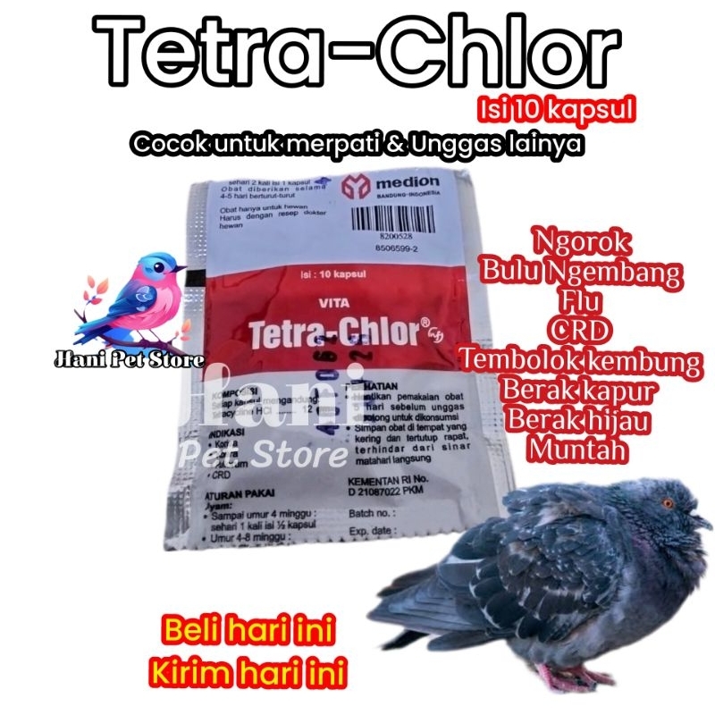 TETRA CHLOR 10 KAPSUL OBAT BURUNG AYAM FLU NGOROK SNOT CRD