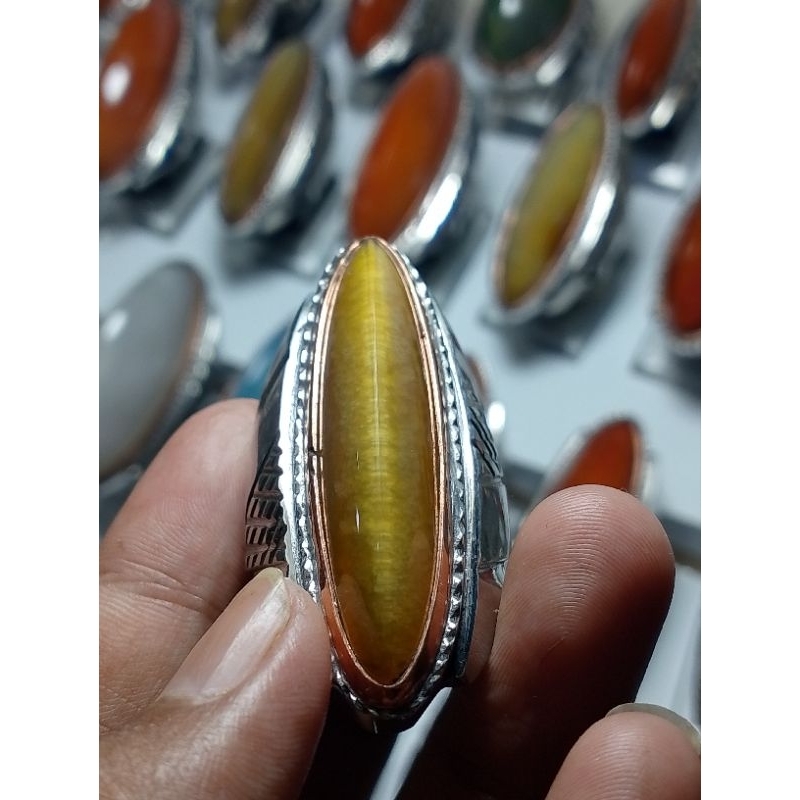 pandan nanas sisik betik