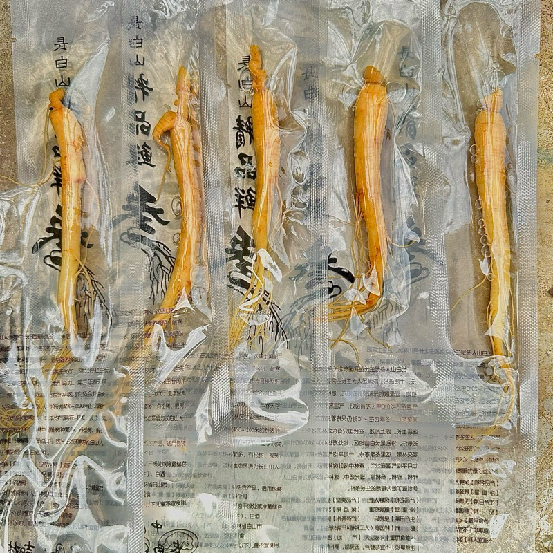 

(20gr) Akar Ginseng Segar Vakum | Ginseng Herbal Changbai untuk Rendaman