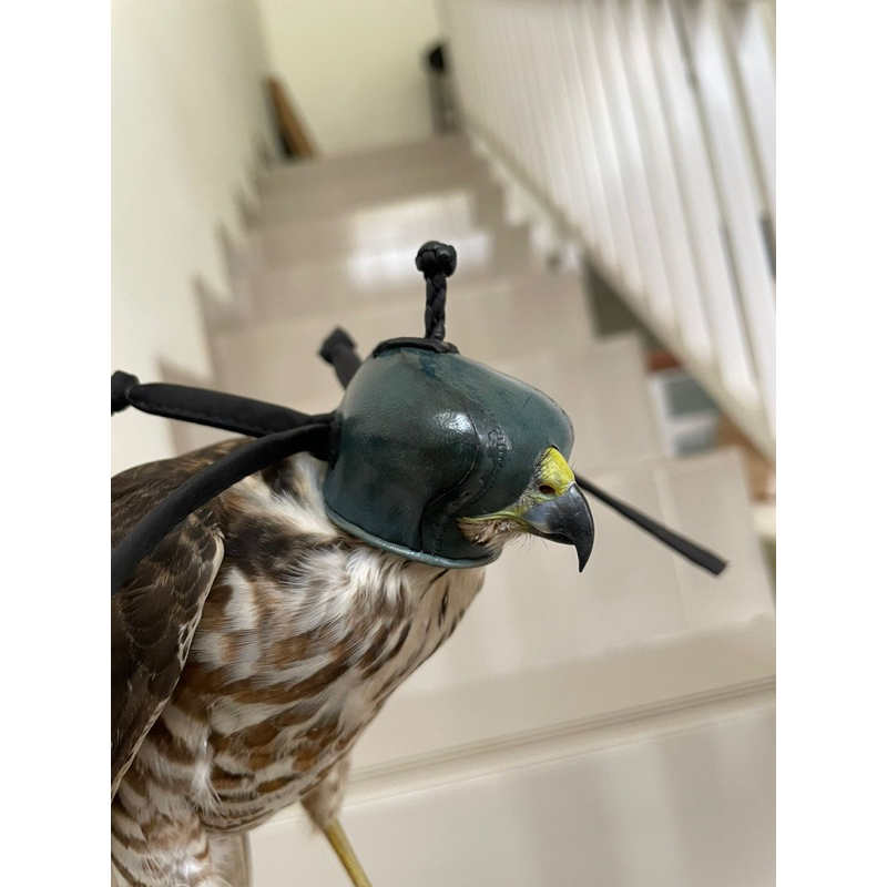 fox style hood untuk accipiter/falconry/kerudung elang/