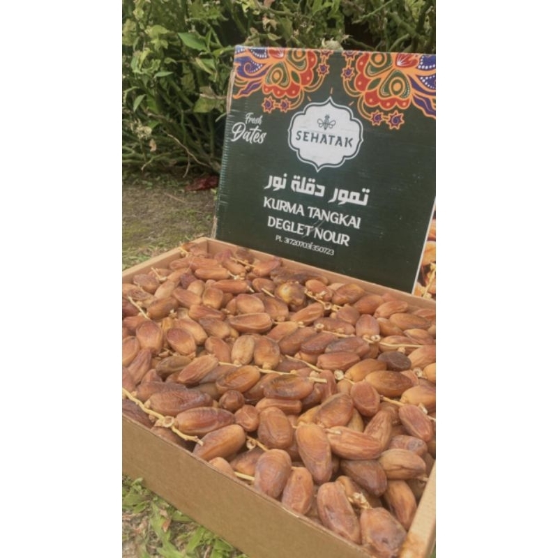 

Kurma Algeria Dates Tangkai 5 Kg