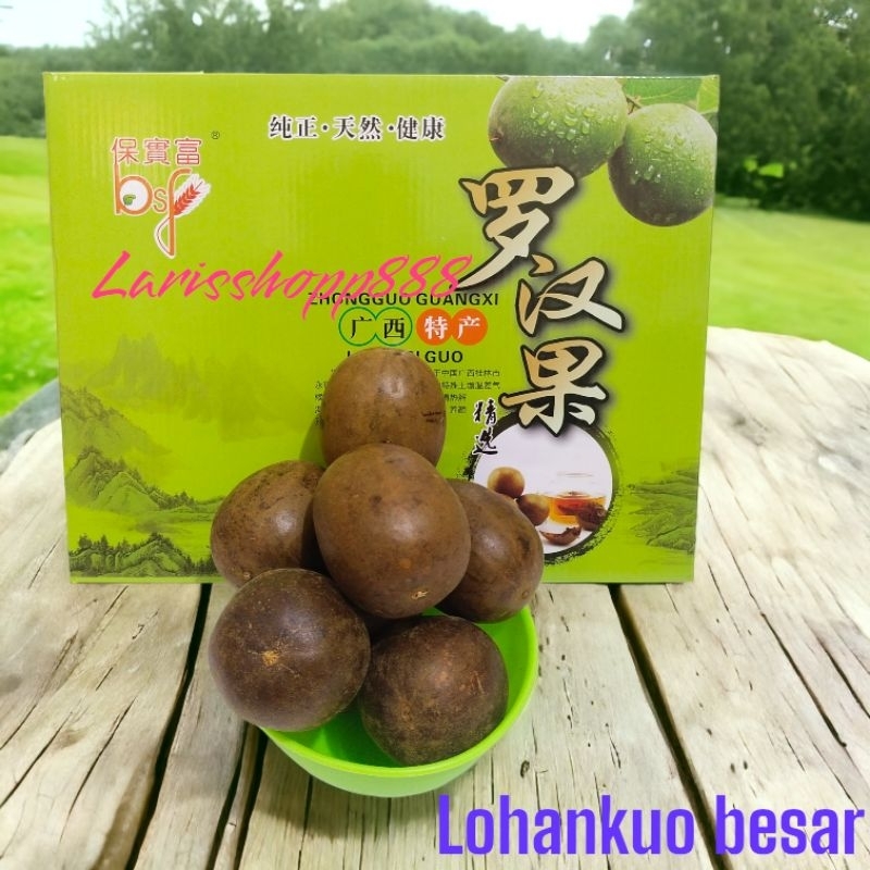 

buah lohankuo besar / Lo Han kuo jumbo / lohankuo LS