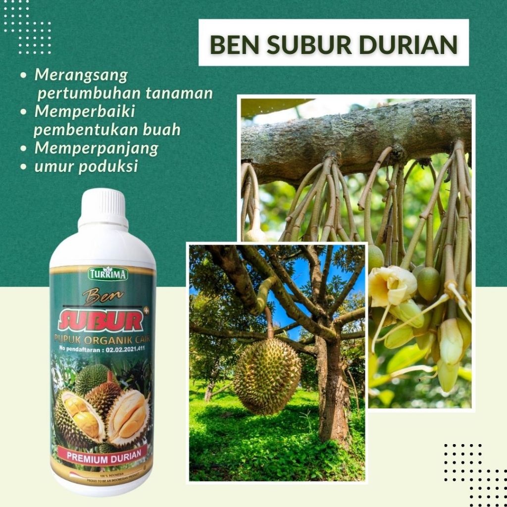 Pupuk Organik Pelebat Buah Durian Agar Lebih Cepat Berbuah Lebat Pupuk Penyubur Buah Durian