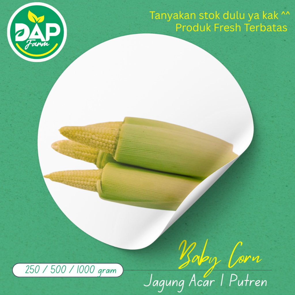 

Baby Corn - Jagung Acar - Sayur Segar Jakarta - DAP FARM