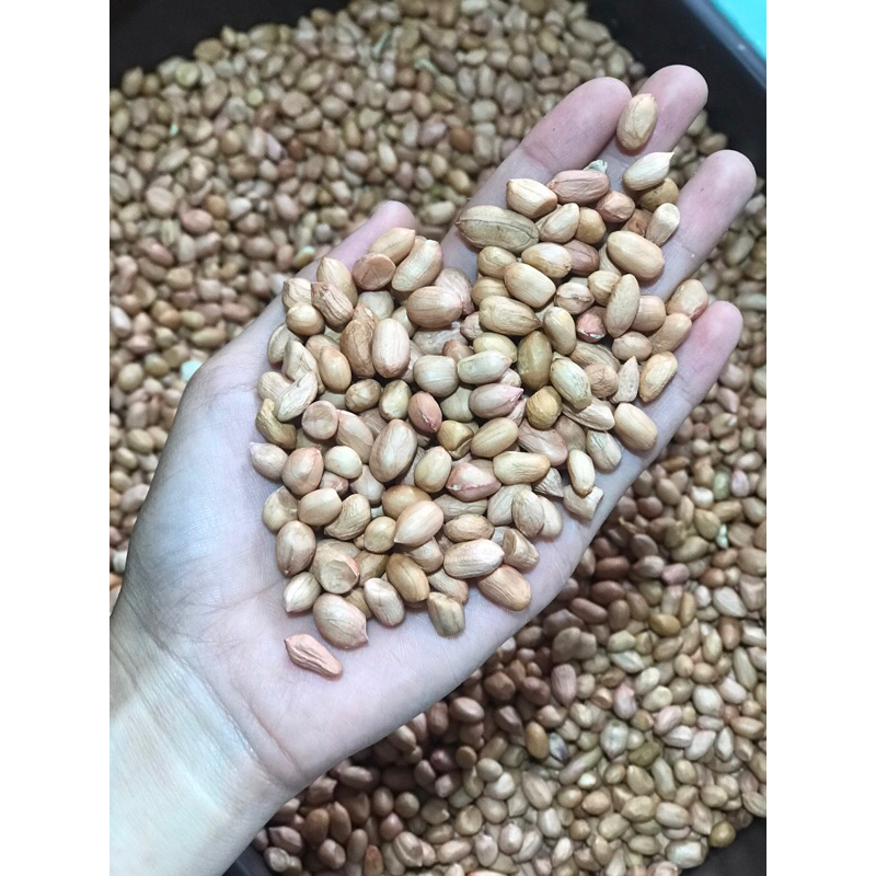 

kacang tanah jawa 1/2kg