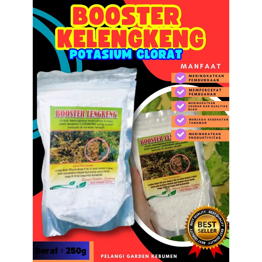 BOOSTER TERBAIK..   Booster Kelengkeng Cepat Berbuah, Booster Kelengkeng Cangkok, Booster Kelengkeng
