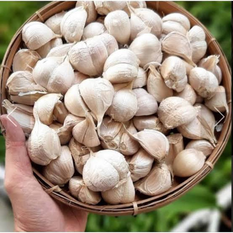 

TERMURAH - BAWANG PUTIH KATING BERSIH 100 GR SAMPAI 1KG FRESH KERING BERKUALITAS / BAWANG PUTIH KATING TERLARIS /BAWANG-BAWANGAN /BAWANG PUTIH KATING IMPORT /BUMBU-BUMBU MEMASAK