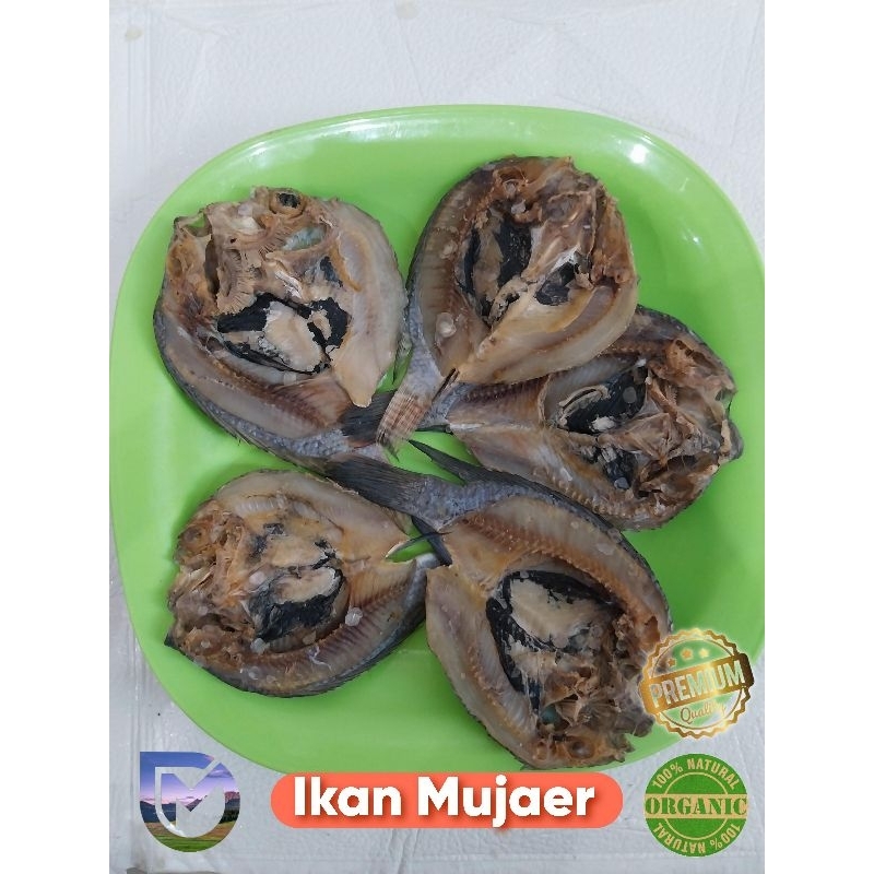 

Ikan Mujaer kering Asin