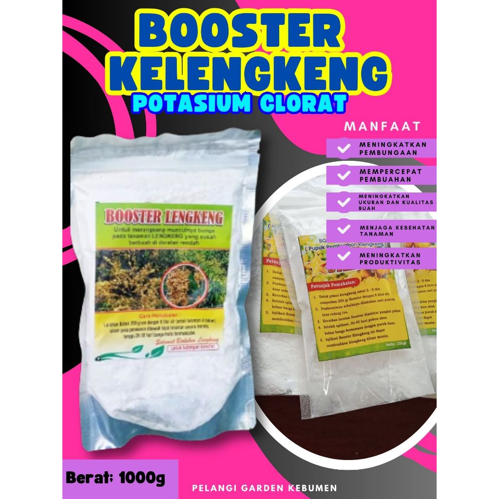 UNGGULAN  Booster Buah Kelengkeng Sudah Berbunga, Booster Buah Kelengkeng Siap Berbuah