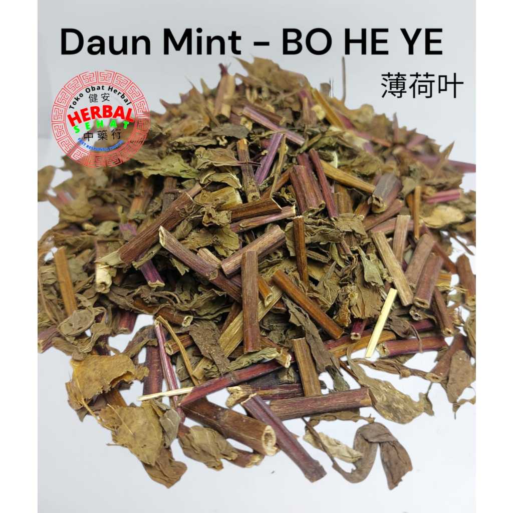 

Bo He Ye / Daun Mint Kering - Menthol Herba Menthae