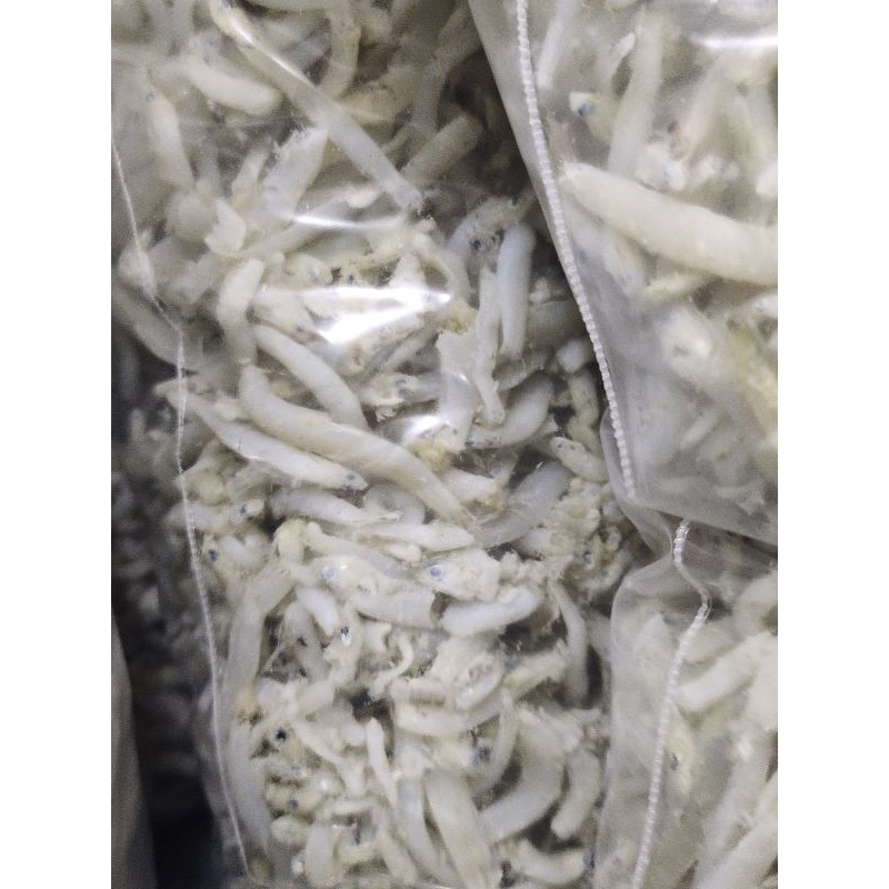 

Teri Premium Kasar