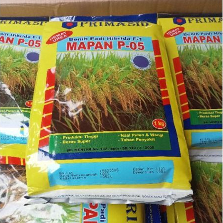 Benih Padi Mapan 05 Asli / Bibit Mapan 05 Asli