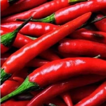 

Cabe Merah Besar 500 gram