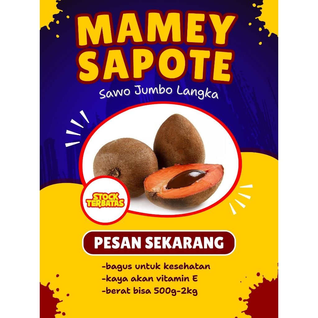 

TERMANIS !! Sawo Jumbo Mamey Sapote