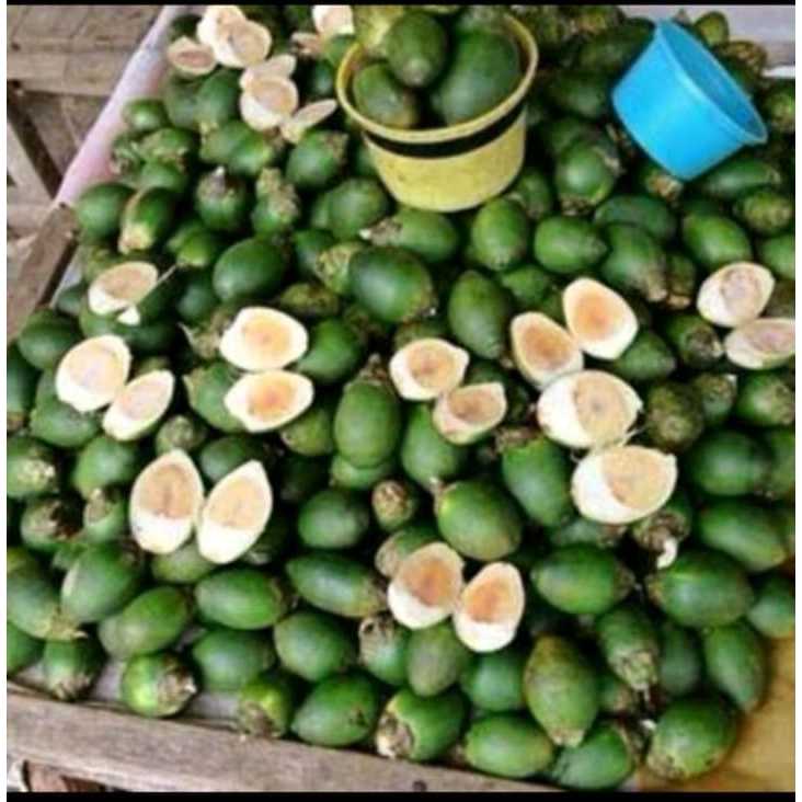 

Buah pinang muda/jambe muda segar 1kg