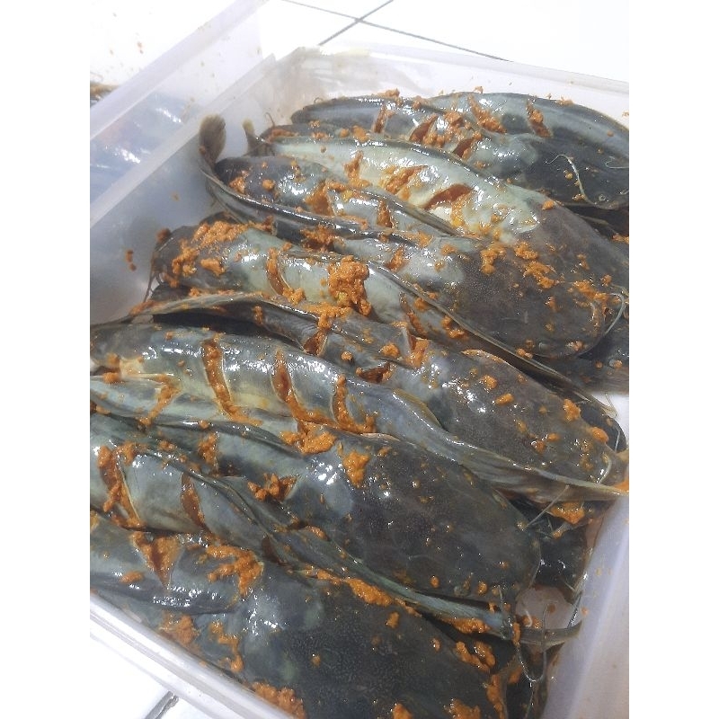 

Lele Marinasi Bumbu Kuning 4 Ekor 300 Gram - 310 Gram | Sat set Goreng aja