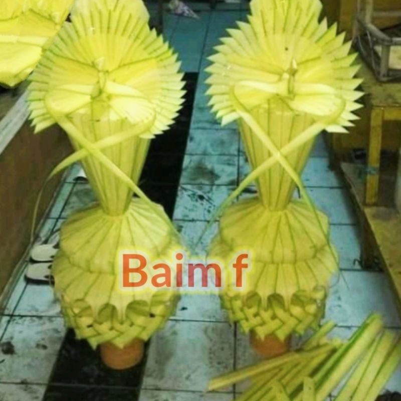 janur kembar Mayang asli satu pasang/janur/untuk seserahan