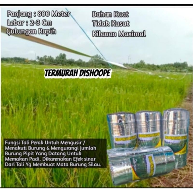 TALI PERAK PENGUSIR BURUNG