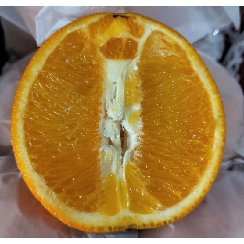 

Jeruk Sunkist // Sunkist Navel (full manis & non biji) fresh 1KG