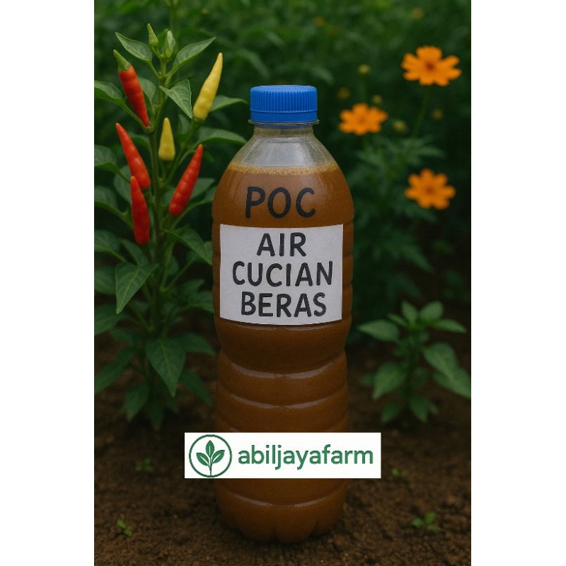 pupuk organik cair POC air cucian beras fermentasi