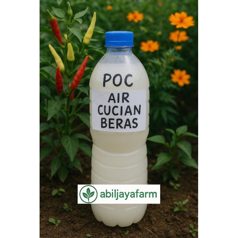 pupuk organik cair POC air cucian beras murni