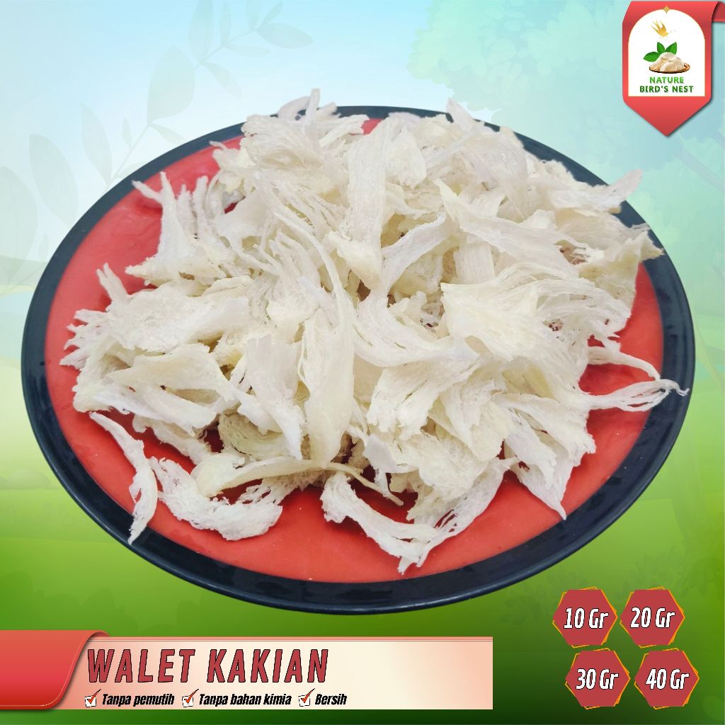 

Sarang Burung Walet Kakian / Bird Nest / Yanwo
