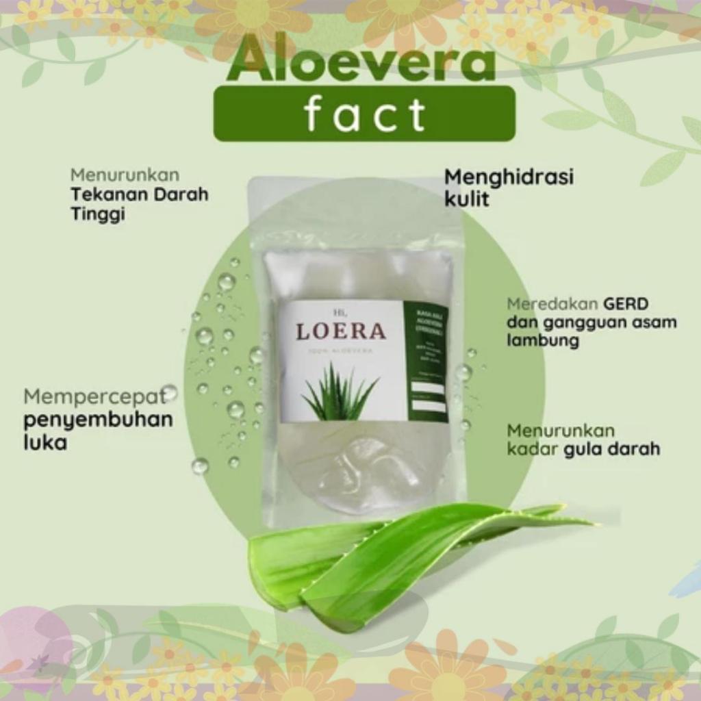 

Aloevera Aloe Vera Lidah Buaya Kupas Tanpa Pengawet dan Pemanis Herbal Alami Atasi Masalah Asam Lambung Maag