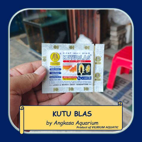 PERAWATAN IKAN HIAS AIR TAWAR - KUTU BLAS by ANGKASA AQUARIUM (5Gr) / OBAT IKAN HIAS KUTU BLAS