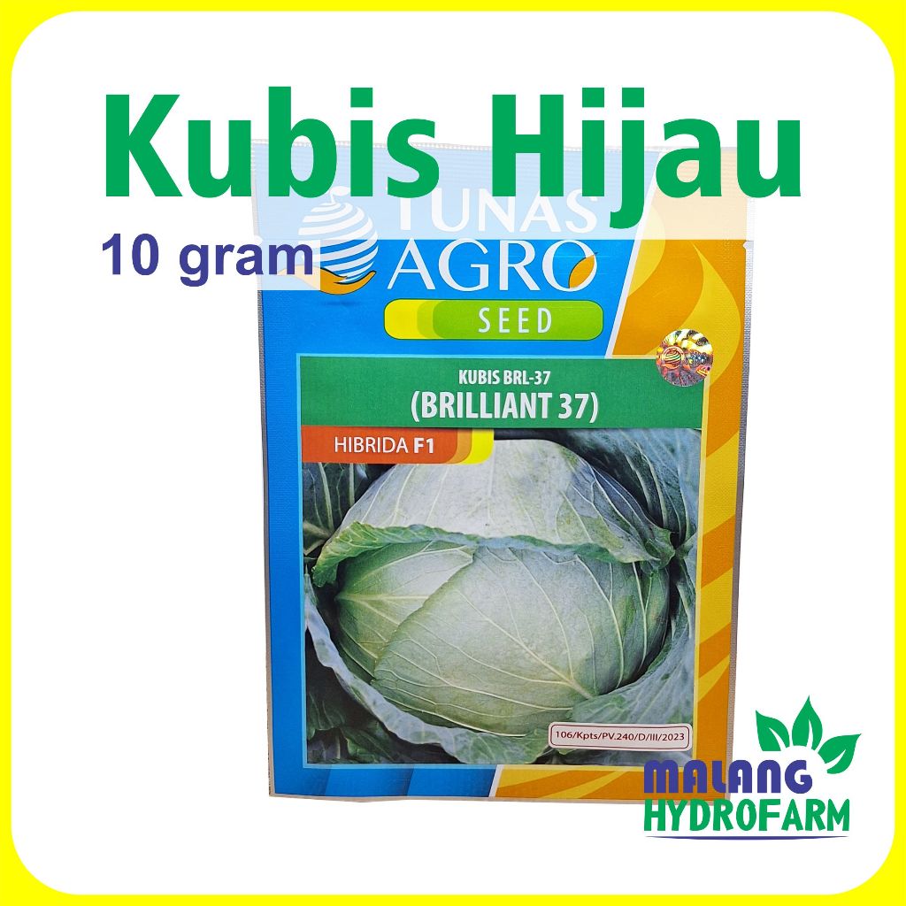 Benih Kubis Hijau Brilliant 37 10 Gram Tunas Agro  Hibrida F1 tahan akar gada dataran rendah menenga