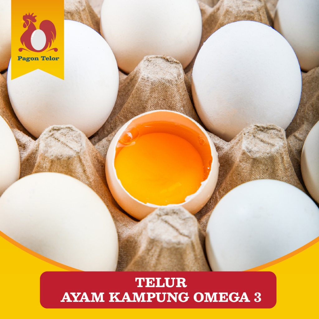 

RB Telur Ayam Kampung Omega/Telur Kampung Omega (Isi 1 Tray = 30 Butir)