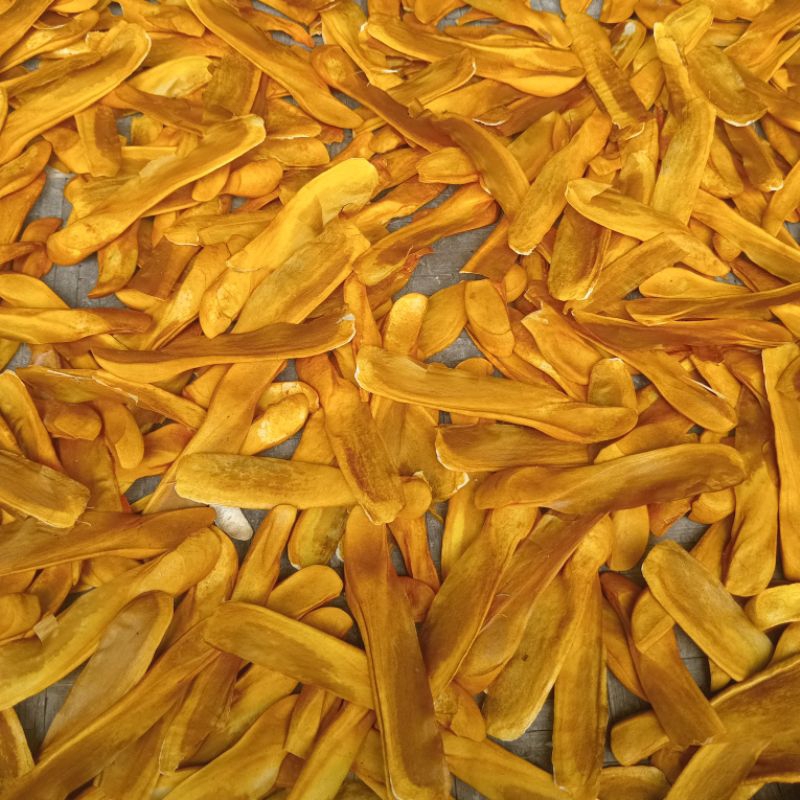 

Jual buah mahoni atau bijinya 100 lembar atau 100 biji