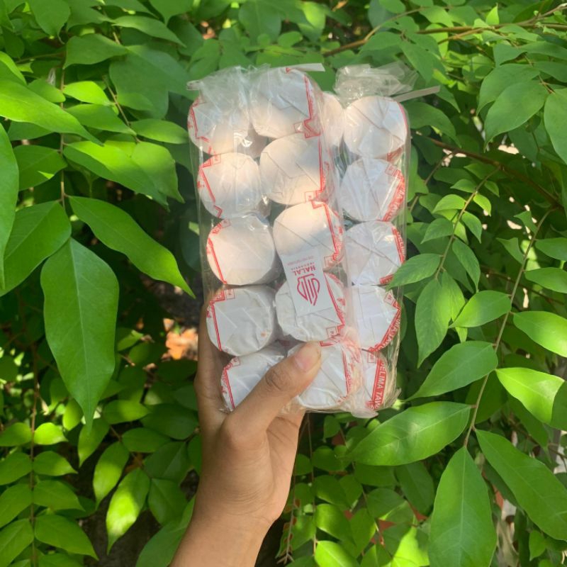 

Kue Tau Sa Ko (kue koya) isi 20 halal