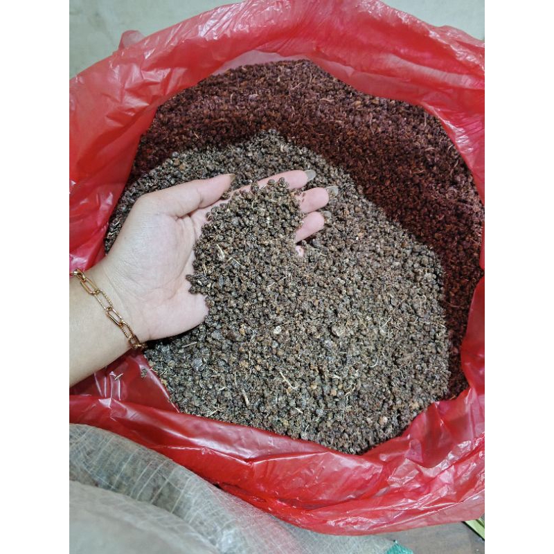 

Bisa COD--Makanan tiwull instan// Asli dari gaplek//makanan elitt