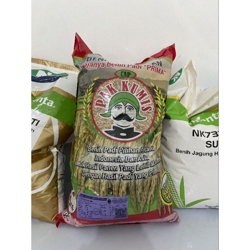 Bibit/Benih Padi Pak Kumis 5 KG IR64