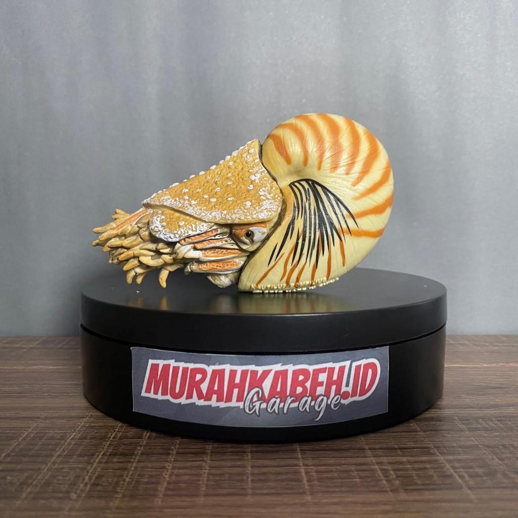 Animal Figure Collecta - Figur Hewan Collecta - Nautilus Pompilius - Hewan Laut