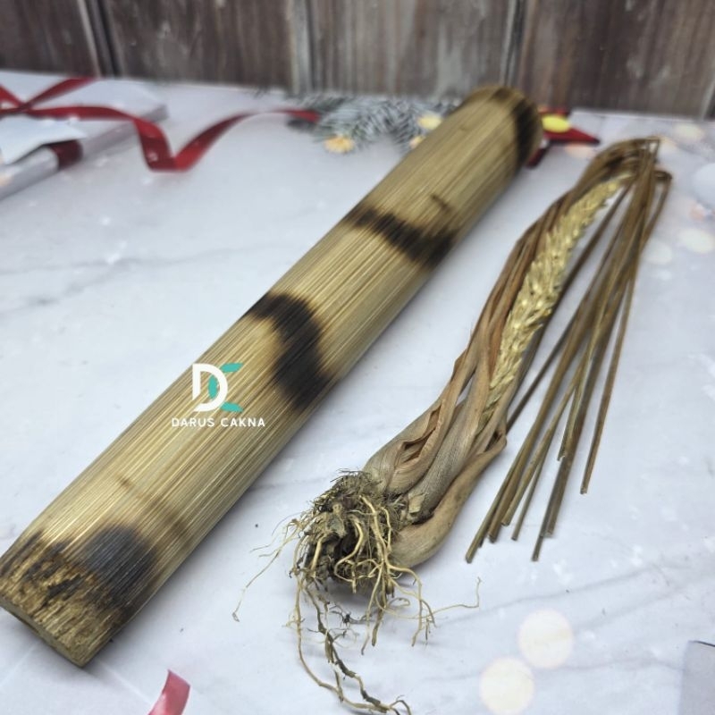 

kembang serai nunggal