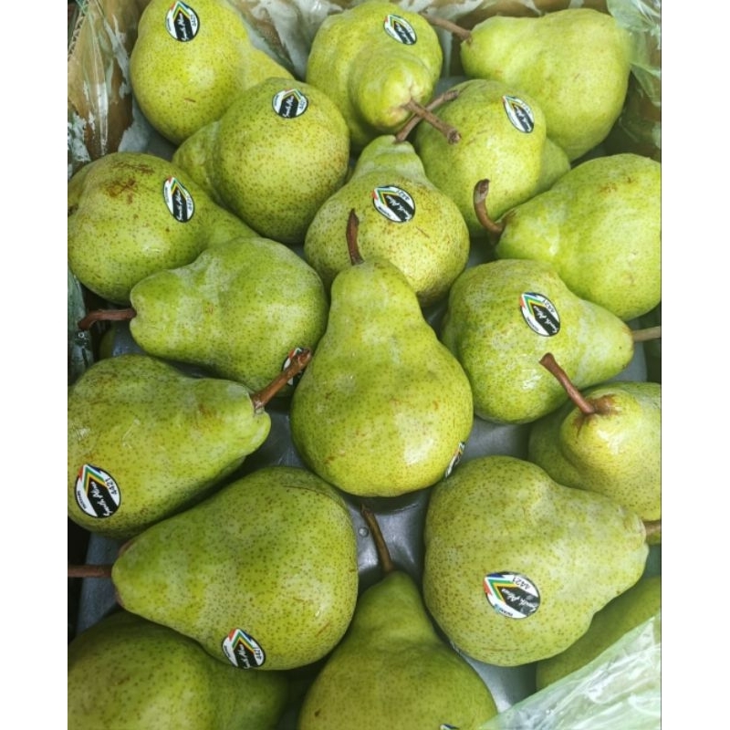

pir jambu.pir packam.pir phackam..buah pir..buah palembang
