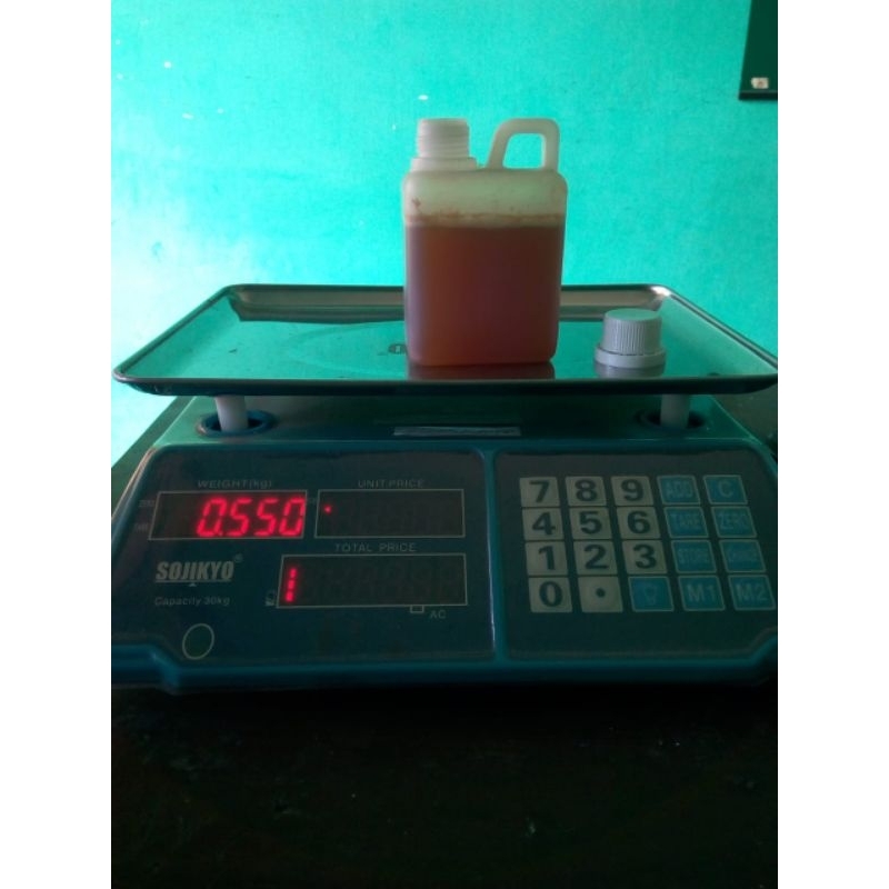 Madu asli (tawon gung)