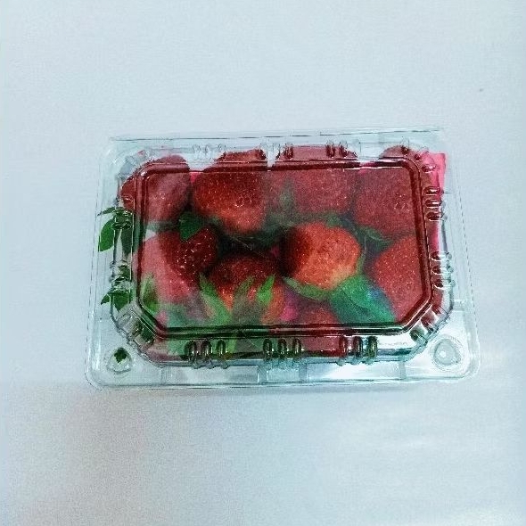 

Buah Segar Strawberry/ Stroberi