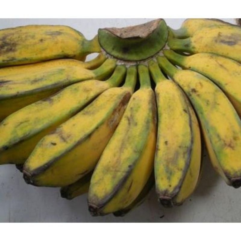 

pisang kepok 1 sisir