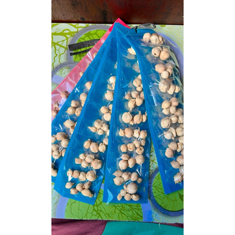 

bumbu rempah kapulaga
