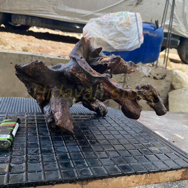 kayu rantek hardscape hiasan akuarium paludarium