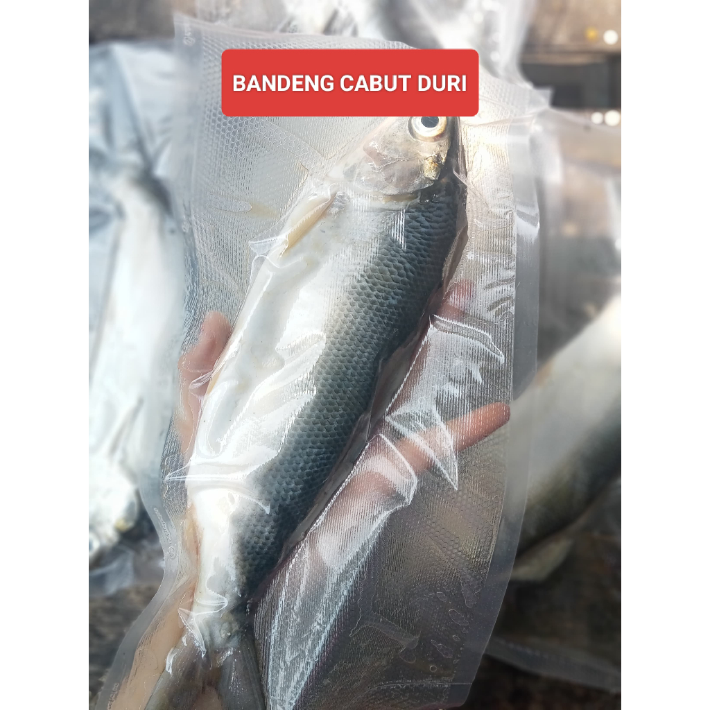 

Bandeng Cabut Duri / Ekor